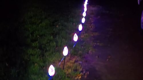 Thumbnail for Setting Up Christmas Pathway Lights